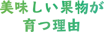 美味しい果物が育つ理由