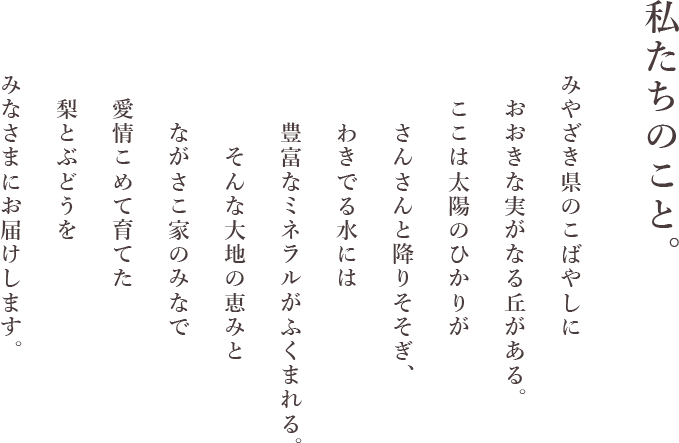 私たちのこと。みやざき県のこばやしにおおきな実がなる丘がある。ここは太陽のひかりがさんさんと降りそそぎ、わきでる水には豊富なミネラルがふくまれる。そんな大地の恵みとながさこ家のみなで愛情こめて育てた梨とぶどうをみなさまにお届けします。